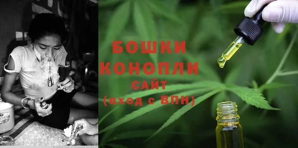 сатива Лихославль