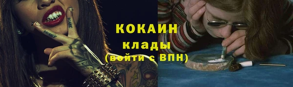 сатива Лихославль