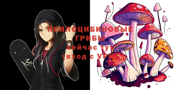 сатива Лихославль